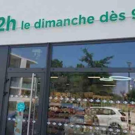 Toulouse Vaste Appartement Tres Lumineux מראה חיצוני תמונה