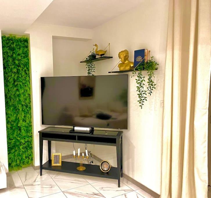 Toulouse Vaste Appartement Tres Lumineux מראה חיצוני תמונה